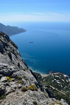 Прикрепленное изображение: DSC_0322.JPG